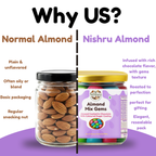 NiShru Almond Mix Gems – Chocolate Coated Almonds with Colorful Candy Gems | Crunchy Sweet Nut Snack | Kids Party Treat