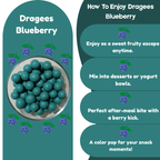 NiShru Cashew Turkish & Blueberry Dragees – Premium Chocolate-Coated Dry Fruit Sweet Snack Combo | Exotic Cashews & Fruity Almond Dragees Gift Pack | 150g × 2 (300g Total)