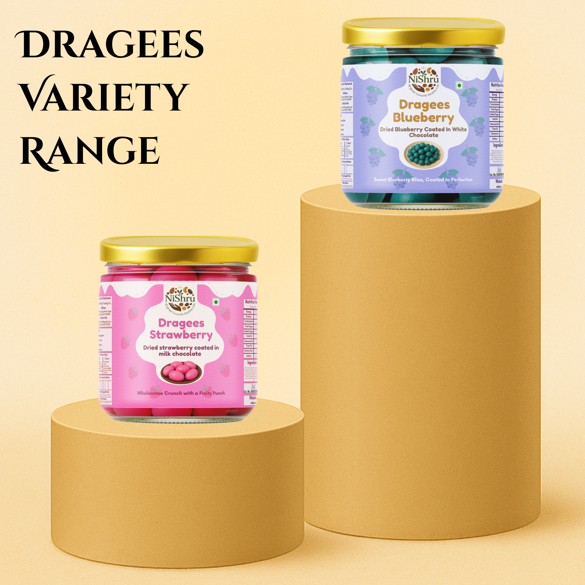 NiShru Dragees Blueberry – Chocolate Coated Blueberry Balls | Sweet Crunchy Dragee Snack | Premium Gift Treat