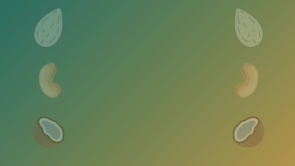 NiShru Cashew Turkish – Chocolate-Coated Premium Roasted Cashews | Exotic Turkish Flavour | Gourmet Crunchy Nut Snack