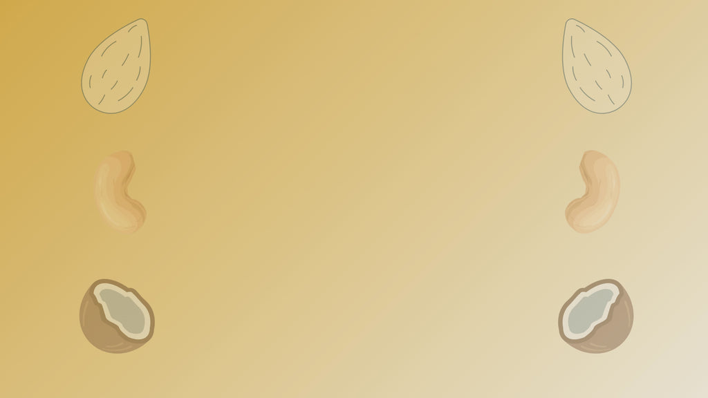 NiShru Cashew Rasmalai & Cashew Turkish – Premium Chocolate-Coated Cashew Sweet Snack Combo | Indian & Turkish Dessert Flavoured Nuts | Festive Gift Pack | 150g × 2 (300g Total)