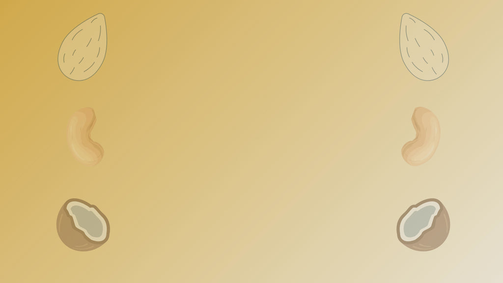 NiShru Coconut Ladoo – Premium Chocolate-Coated Coconut Balls | Rich Creamy Filling | Festive Sweet Snack